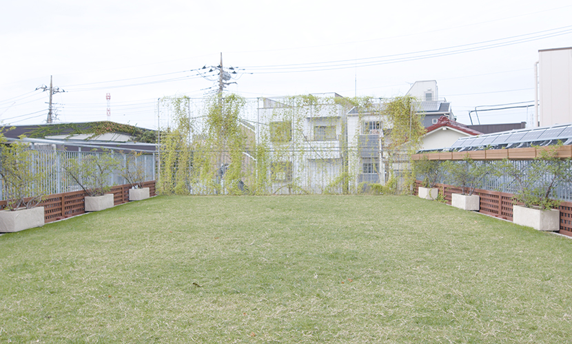 屋上庭園