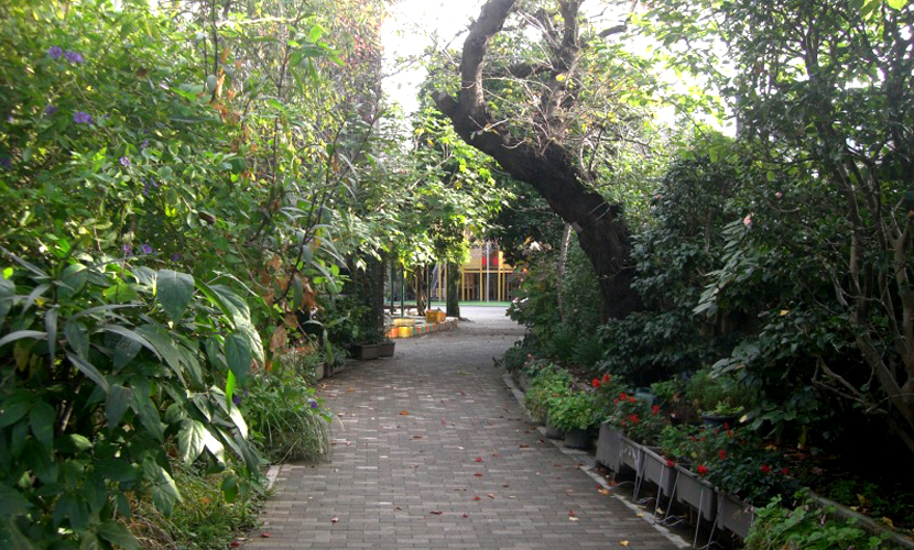 みどりのご門につづく道